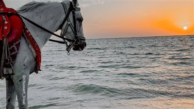 كيفية حذف طلبات الصداقة التى تم ارسالها 