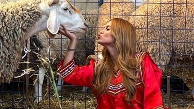 قصة ست بتحكي حكايتها كاملة ستعجبكم