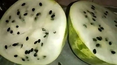 رواية جواز مصلحه وانا مكنتش عارفه