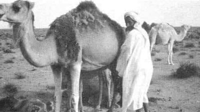 يذكر راجل اسمي السابع جدعان /قصه كامله