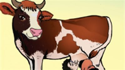 رواية بقړة اليتامي كاملة بقلم عائشة بنت المعمورة