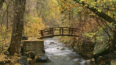 قصةالى نهر الفضيلة