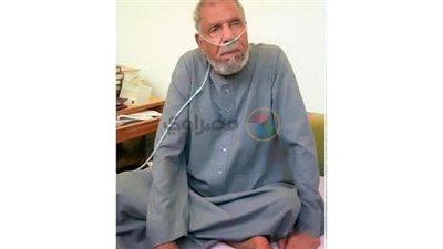 الشيخ الشعراوى