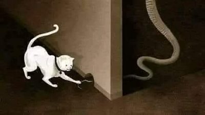 قصة الفيلا المسکونه بمدينة جده