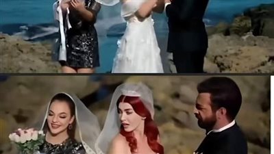 قلب محطم