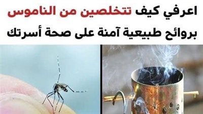 روائح طبيعية سوف تساعدك في التخلص من الناموس بطريقة آمنة على صحة أسرتك