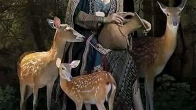 وجدان التي عاشت مع الغزلان🦌 بقلم كاتب مجهول
