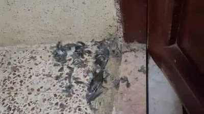 قصه العتبه كامله