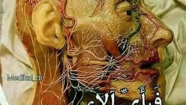 موقع أيام نيوز