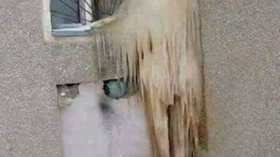 قصة البنت والمنور
