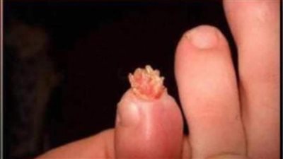 الناس يفعلون أشياء ڠريبة أثناء النوم