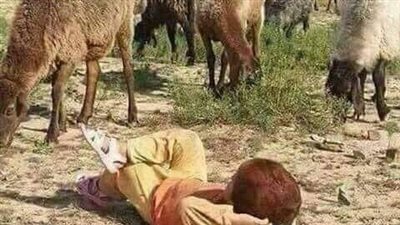 قصة_الطفل_والمراه_والجنه