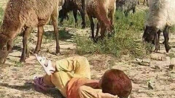 موقع أيام نيوز