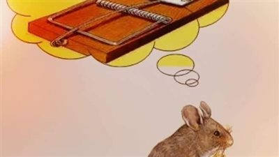كان فار يعيش في مزرعة/قصه كامله