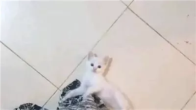 اتفجأت بمراتي انهارده
