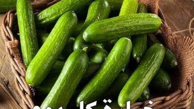 لماذا يجب علينا أن نأكل خيارة يوميا 13 سبباً تكفي لإقناعك