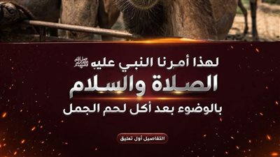 لهذا أمـرنا النبي ﷺ بالوضوء بـعـد أكـل لـحـم الجمل