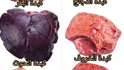 أطعمة مليئة بالفوائد الصحية... لكن لا أحد يتحدث عنها