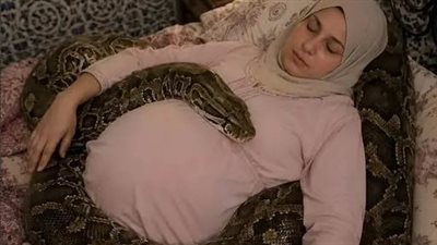امرأة حامل بجوار أفعاها الأليفة الضخمة كل ليلة